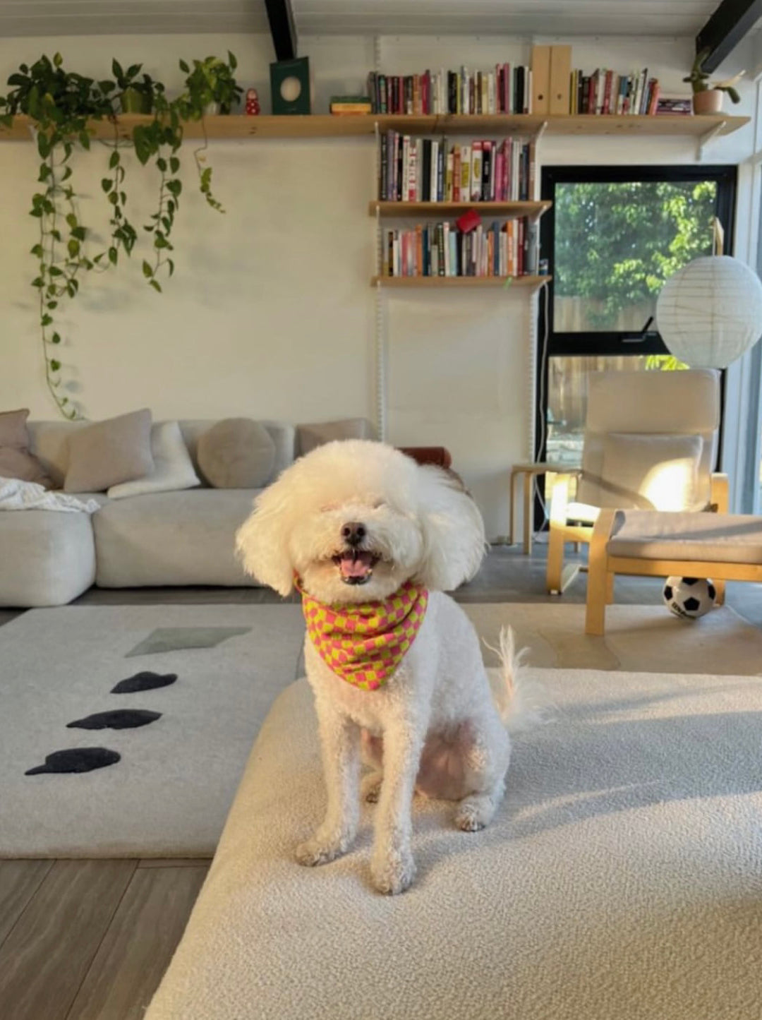 Weekend Picnic Bandana