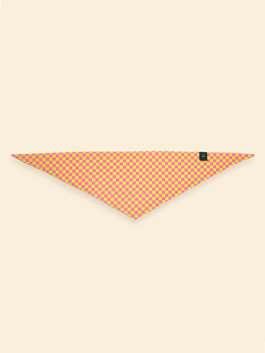 Weekend Picnic Bandana