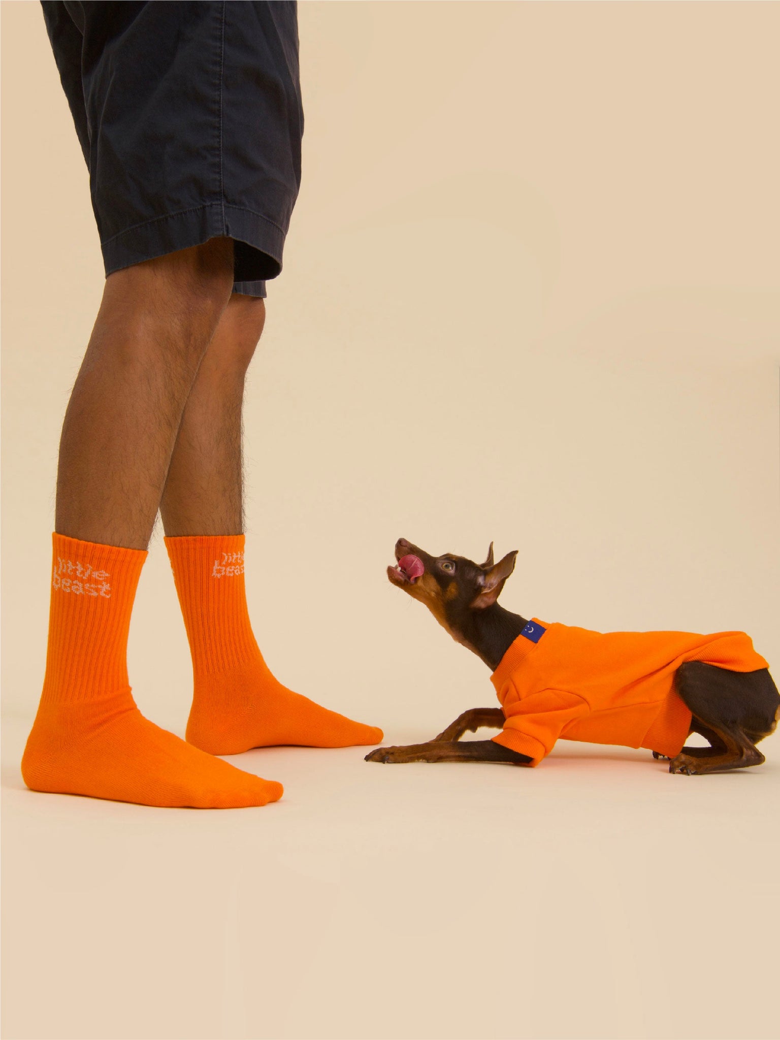 Little Beast Sock - Orange