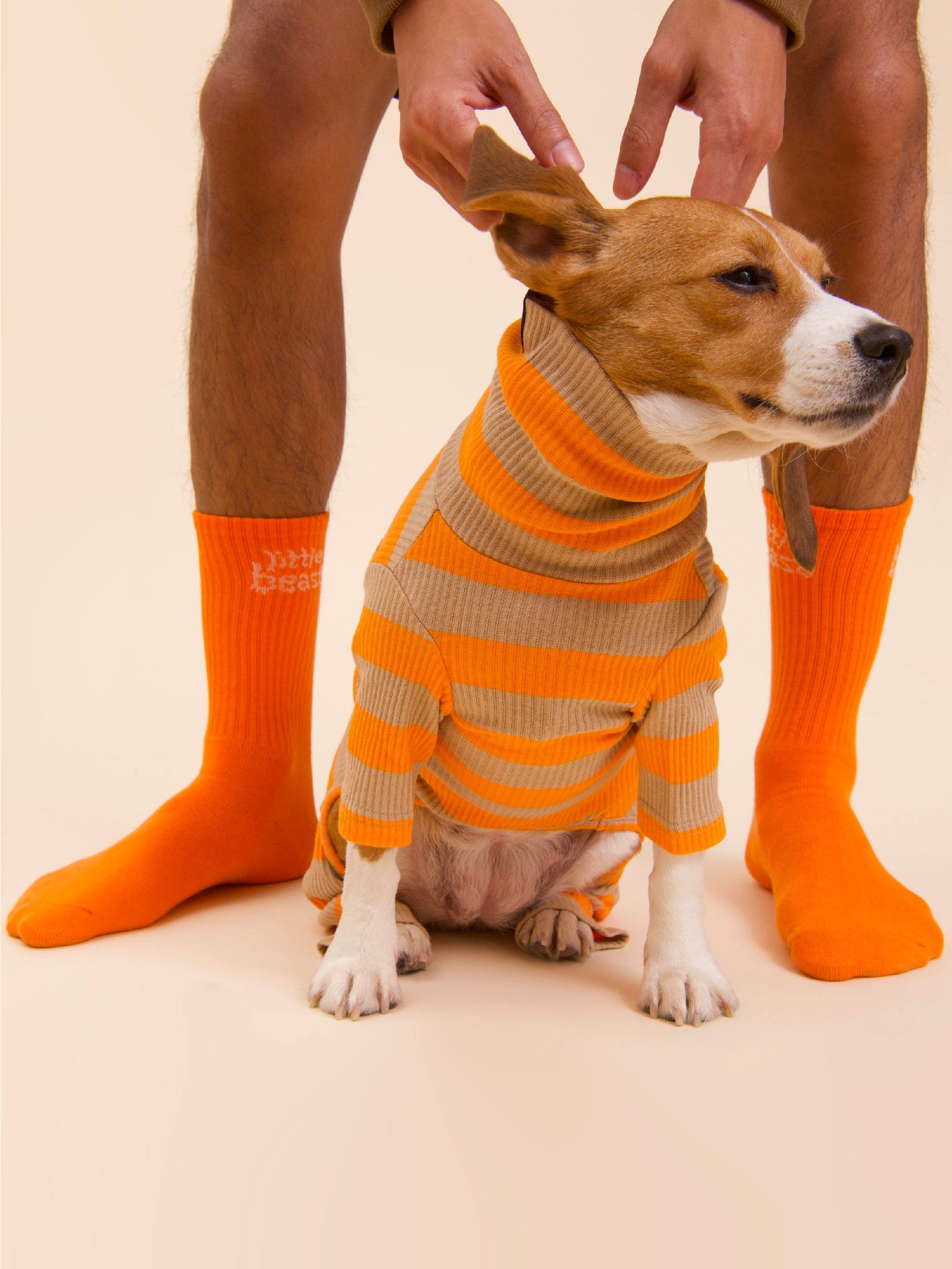 Little Beast Sock - Orange