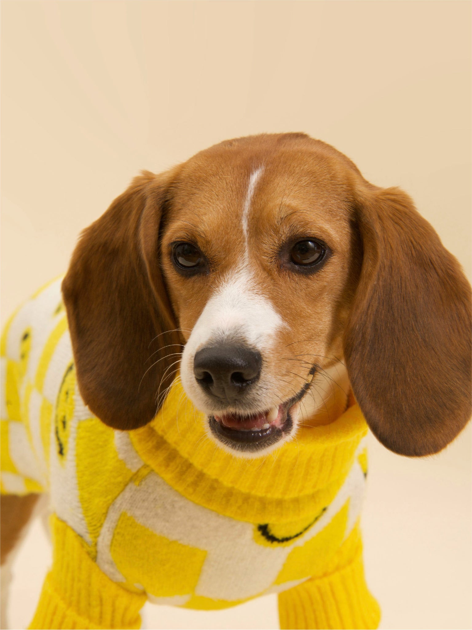 Smiley Sweater