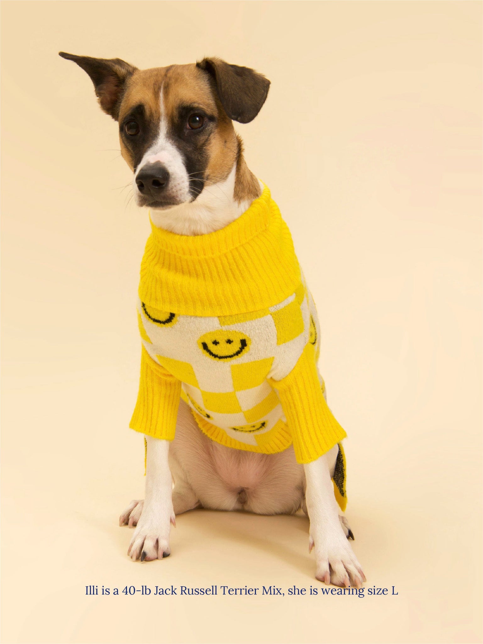 Smiley Sweater