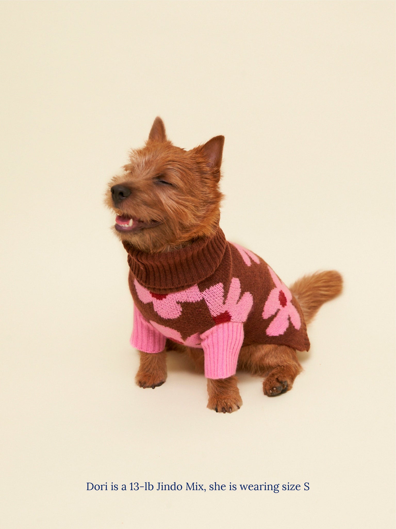 Little Beast Dog Sweater ABK (Always Be Kind) Sweater