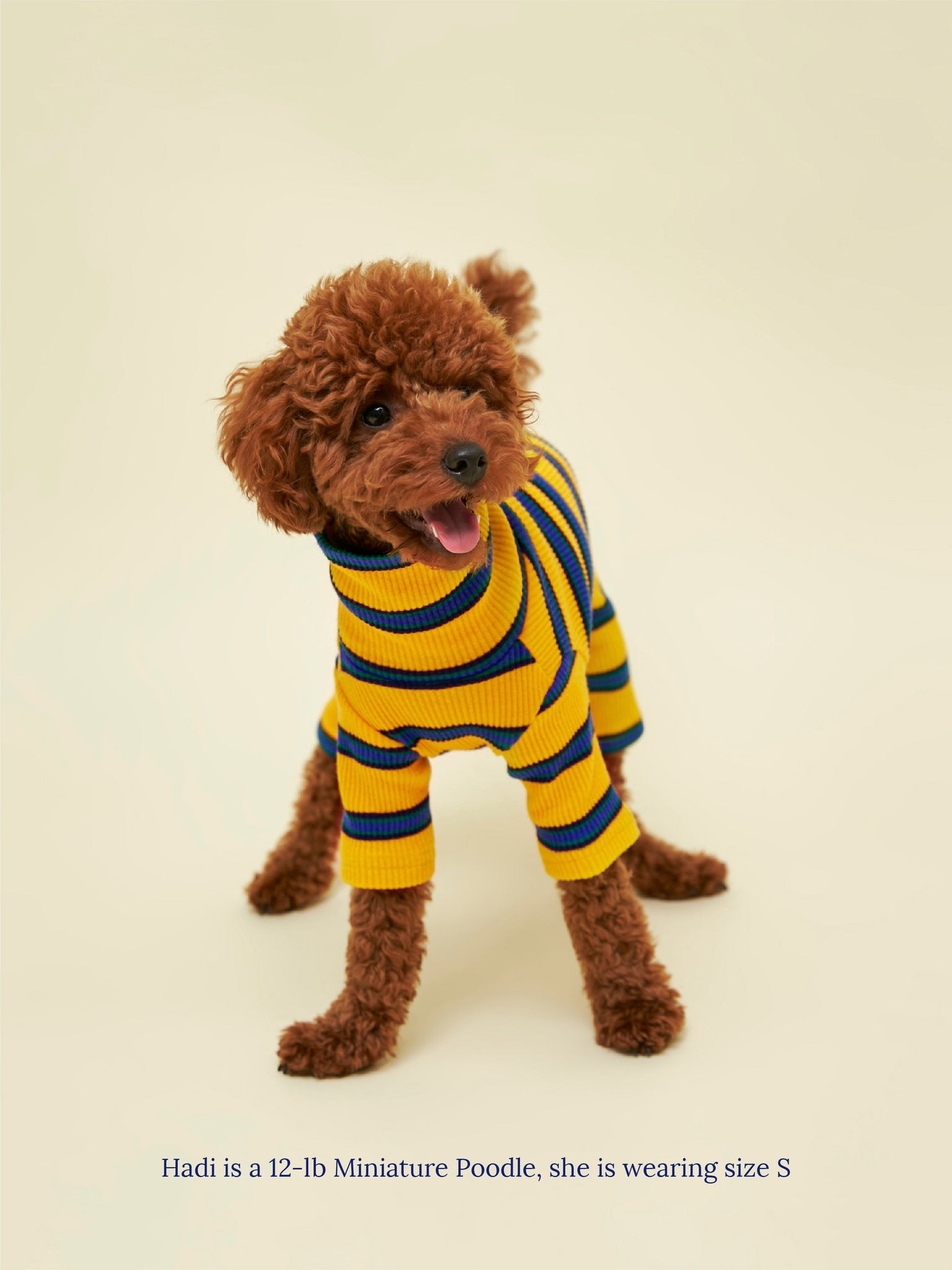 Little Beast Dog Onesie Back to School Onesie