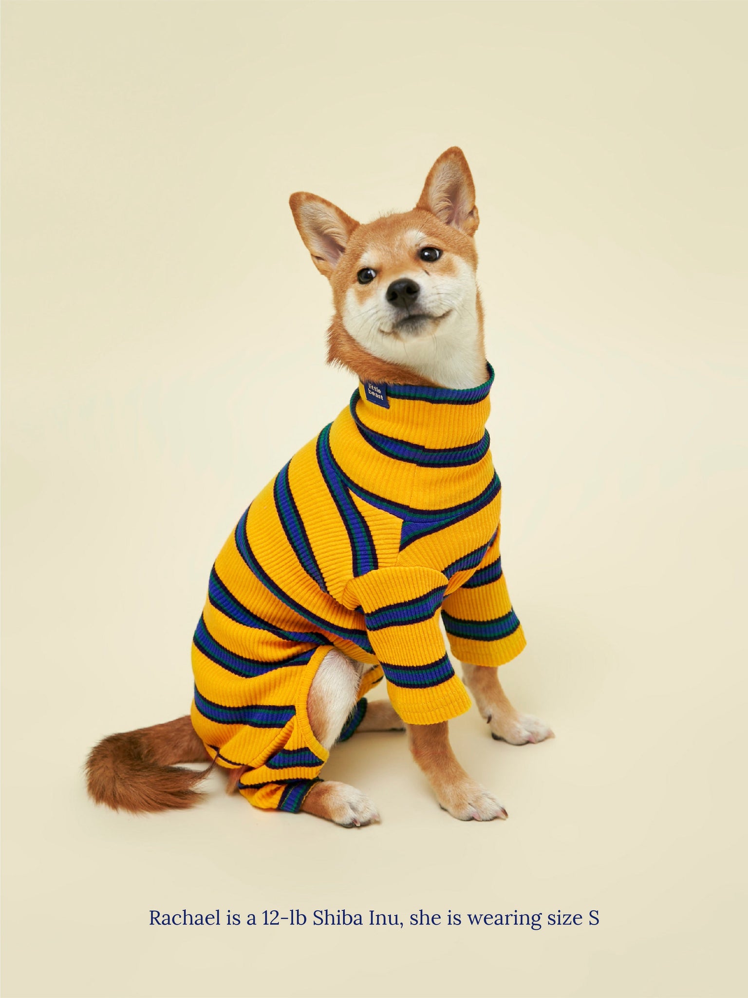 Little Beast Dog Onesie Back to School Onesie