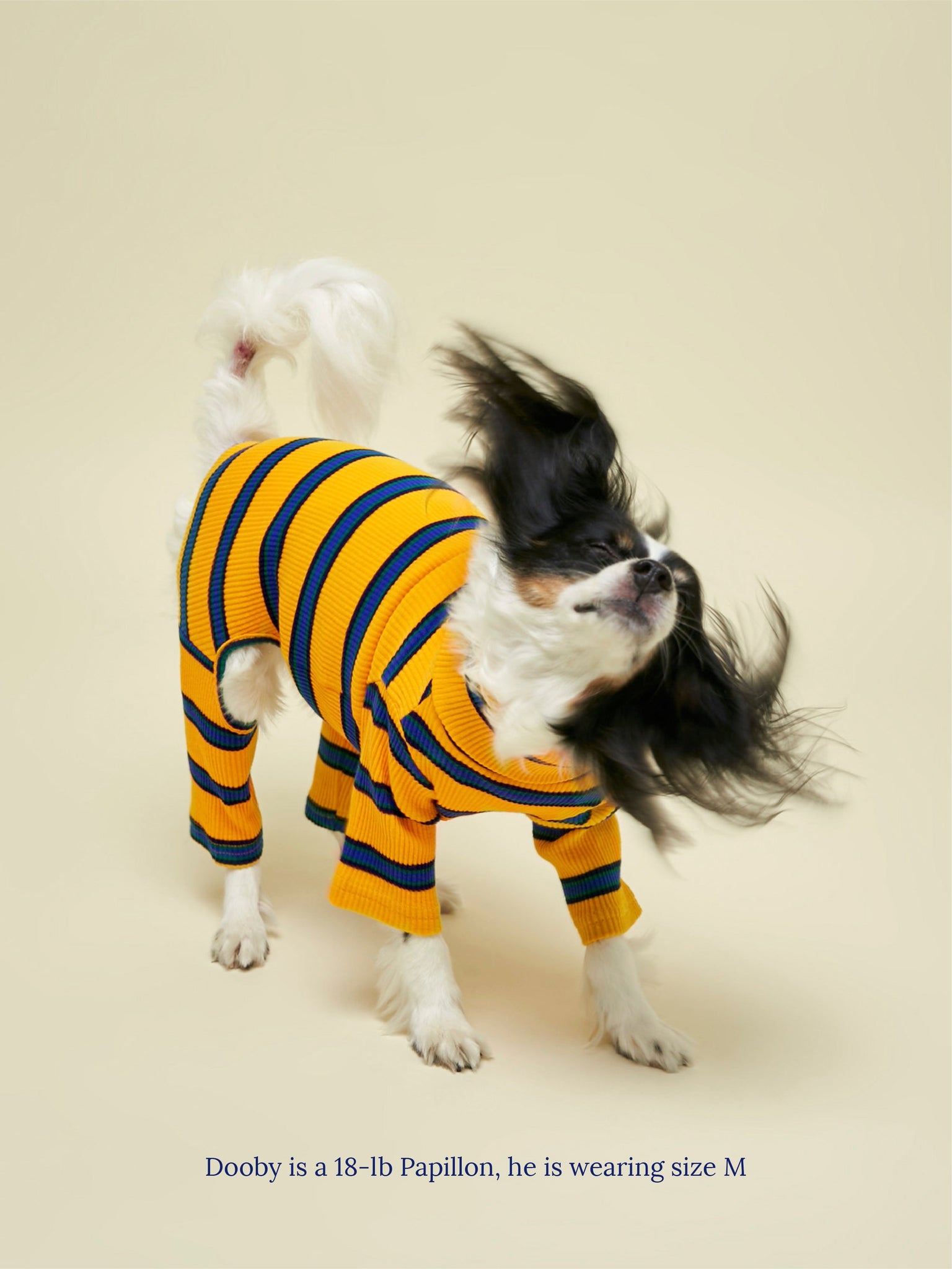 Little Beast Dog Onesie Back to School Onesie