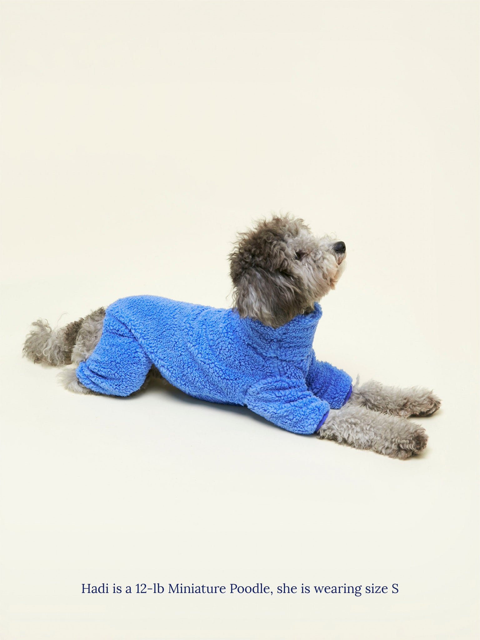 Little Beast Dog Onesie Blue Magic Fleece Onesie