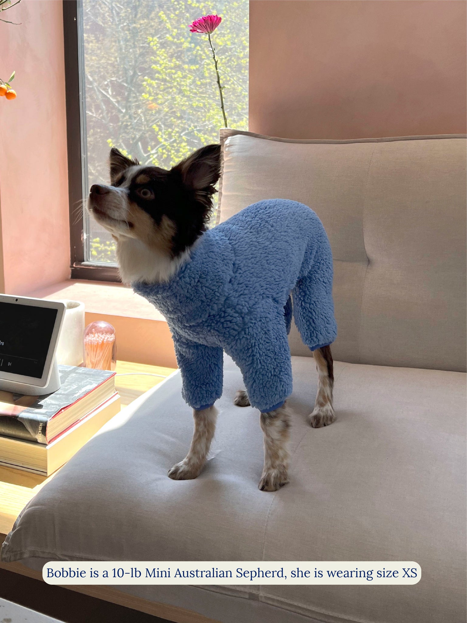 Little Beast Dog Onesie Blue Magic Fleece Onesie