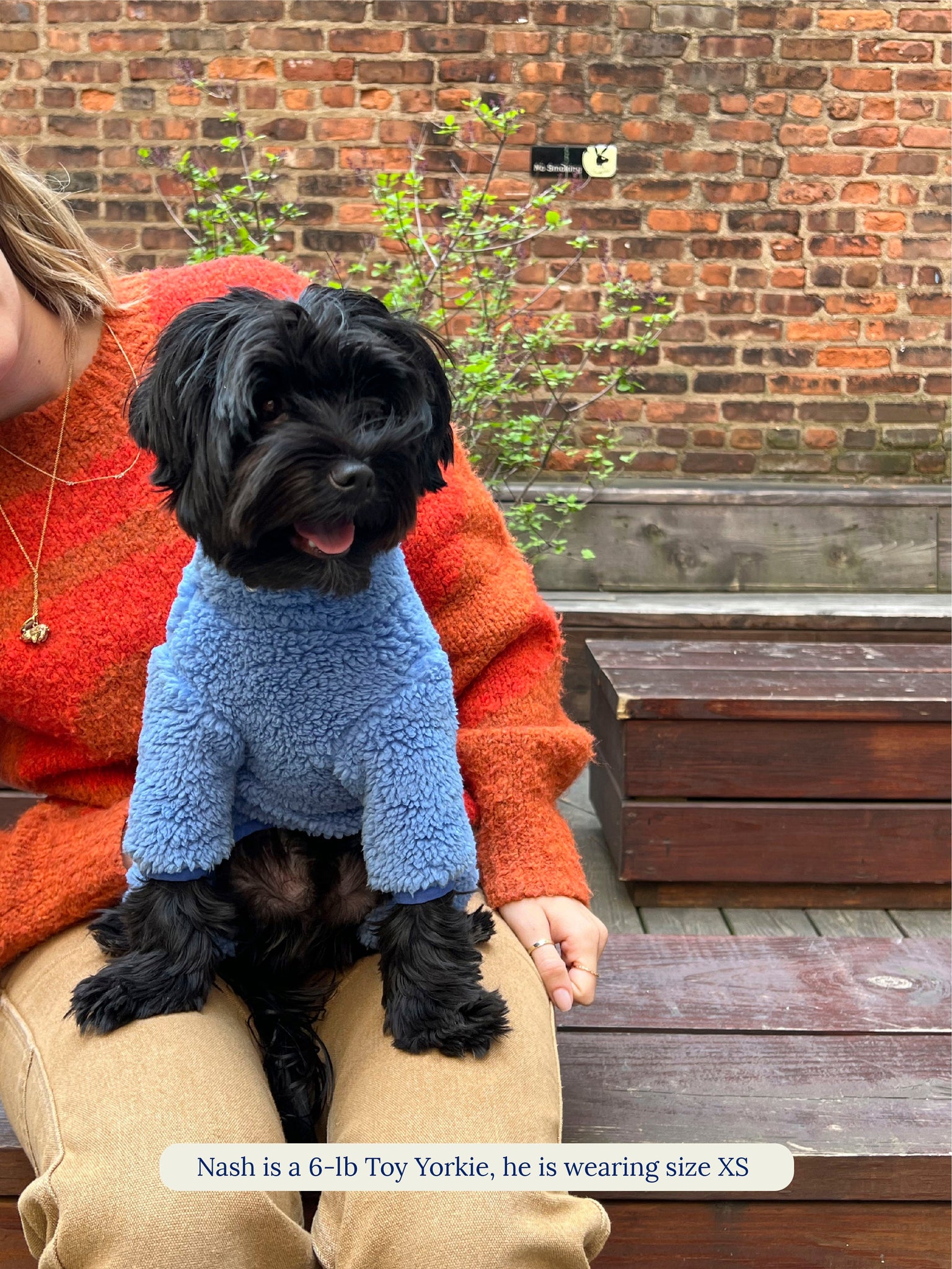 Little Beast Dog Sweatshirt Blue Magic Fleece Sweatshirt