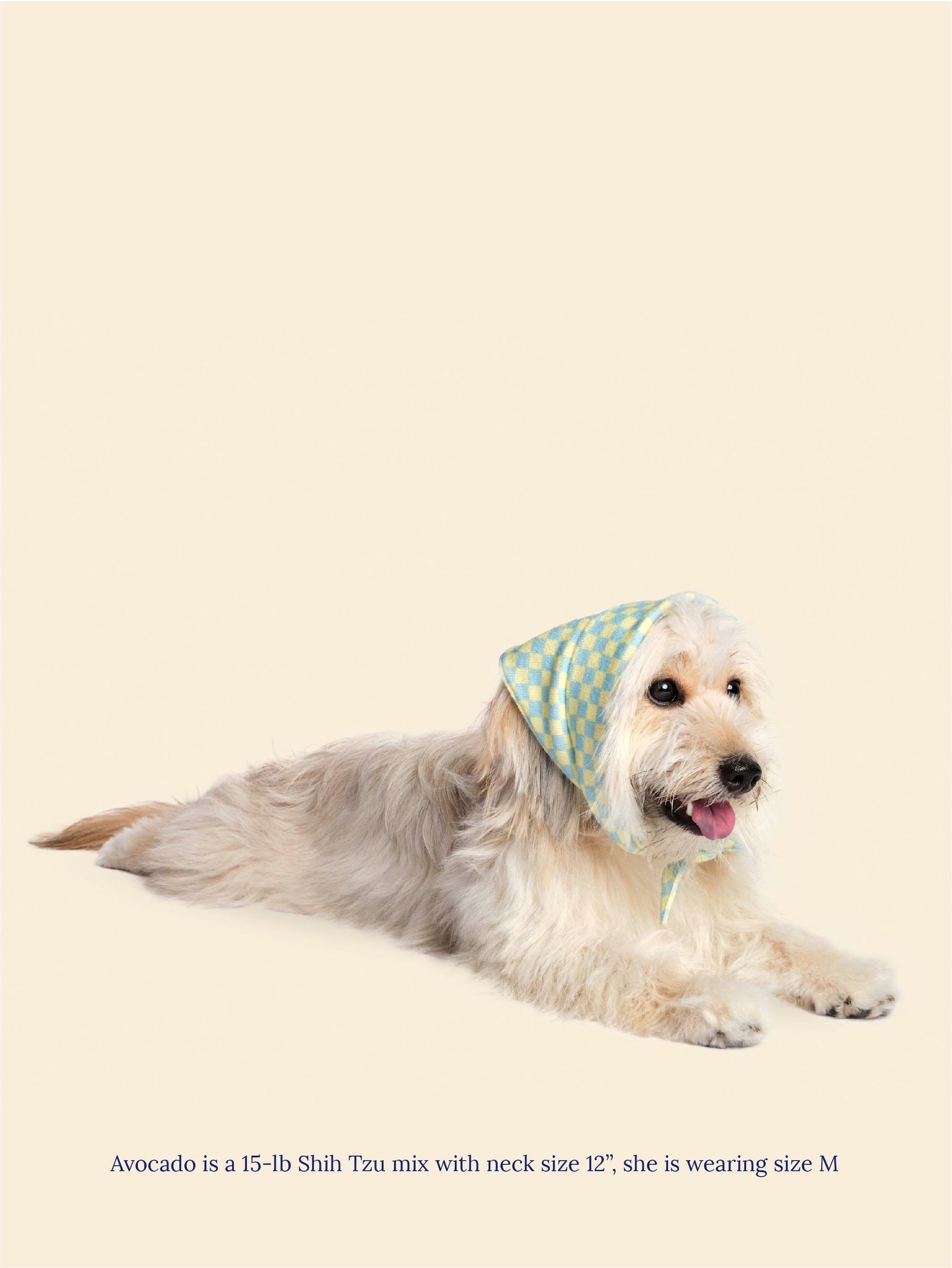 Little Beast Dog Bandana Calm and Collected Bandana