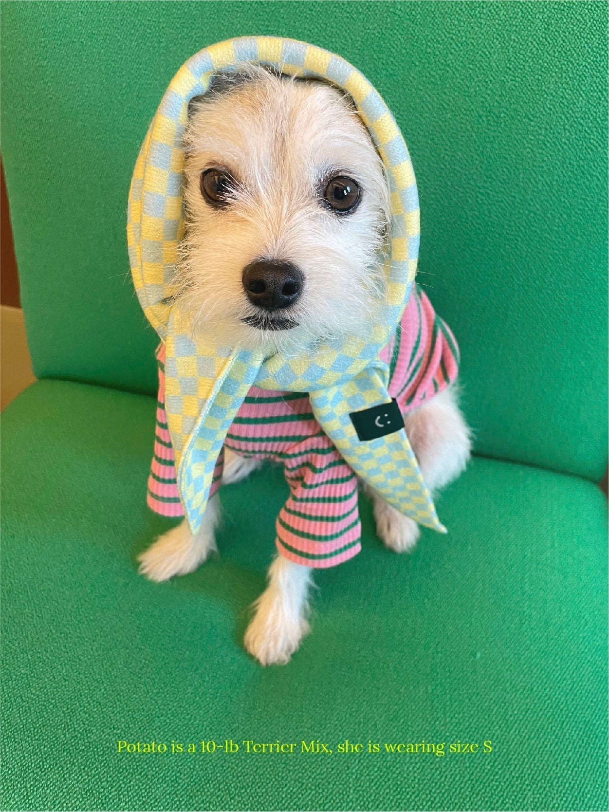 Little Beast Dog Bandana Calm and Collected Bandana