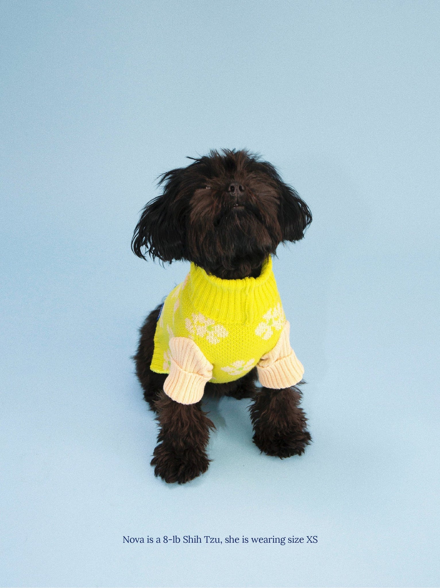 Little Beast Dog Sweater Flower Power Sweater