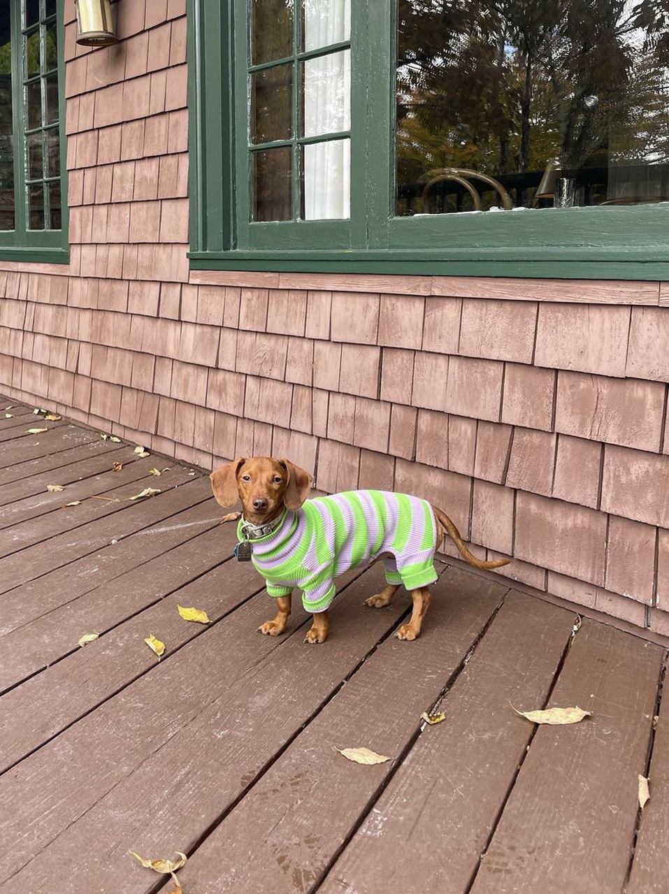 Little Beast Dog Onesie Grape Juice Onesie