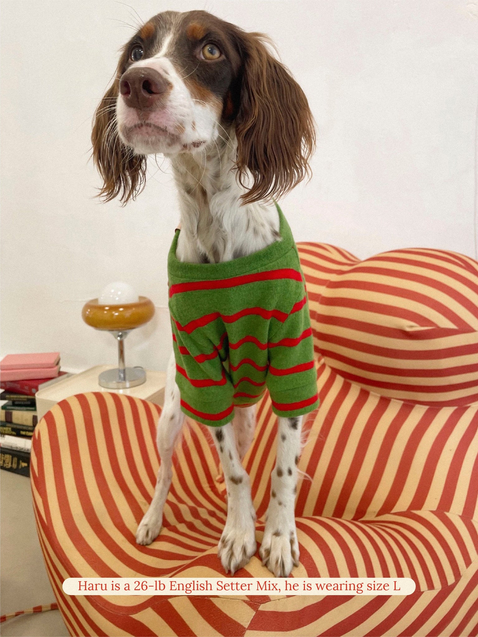 Little Beast Dog Sweatshirt 🎄 Holly Jolly Sweatshirt 🎄