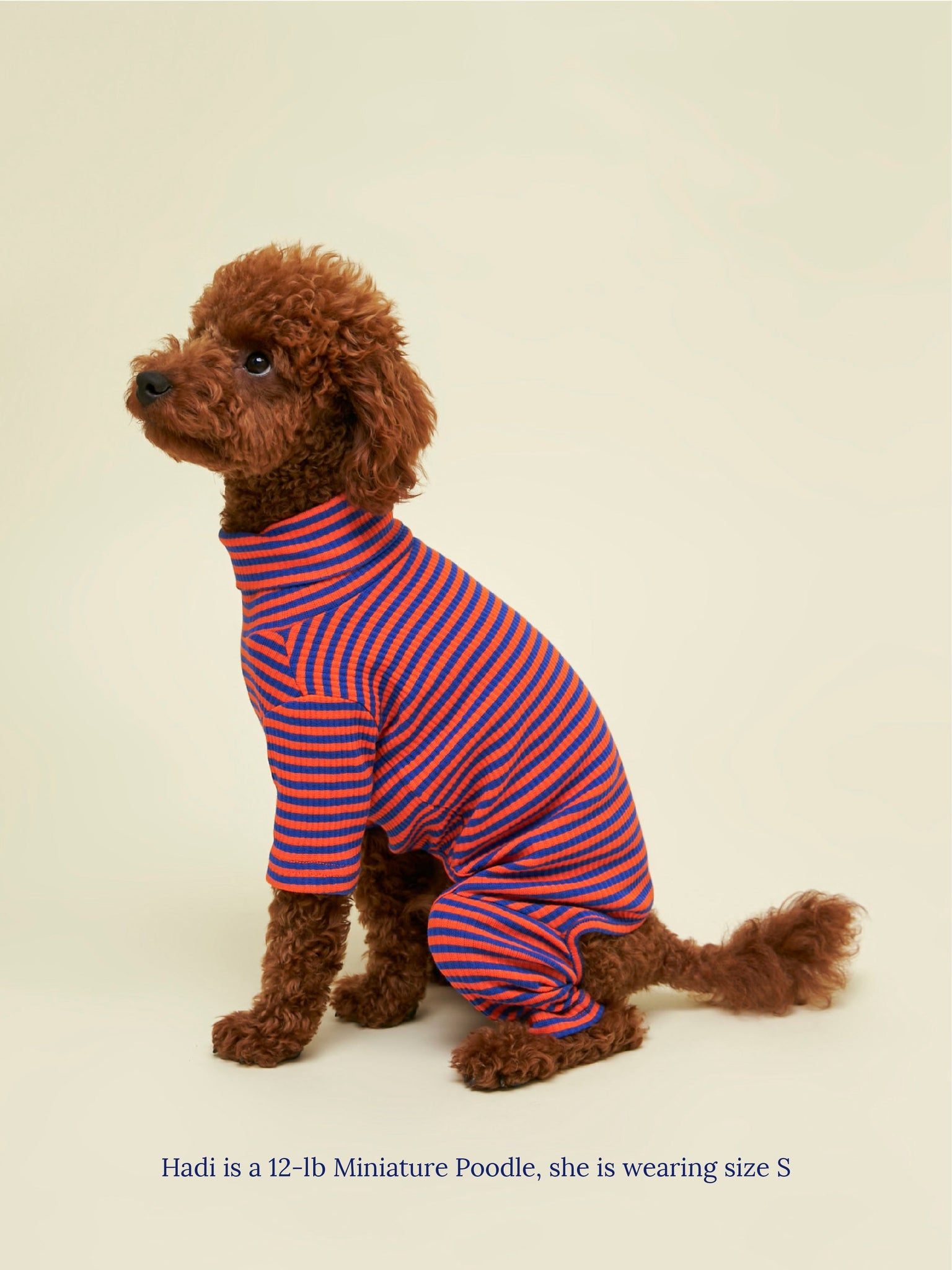 Little Beast Dog Onesie Knickerbocker Onesie