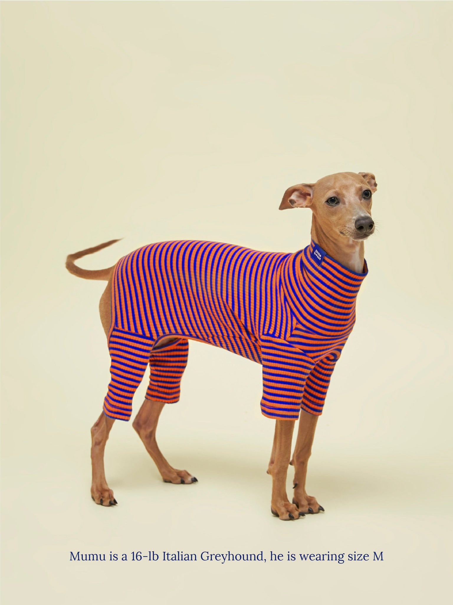 Little Beast Dog Onesie Knickerbocker Onesie