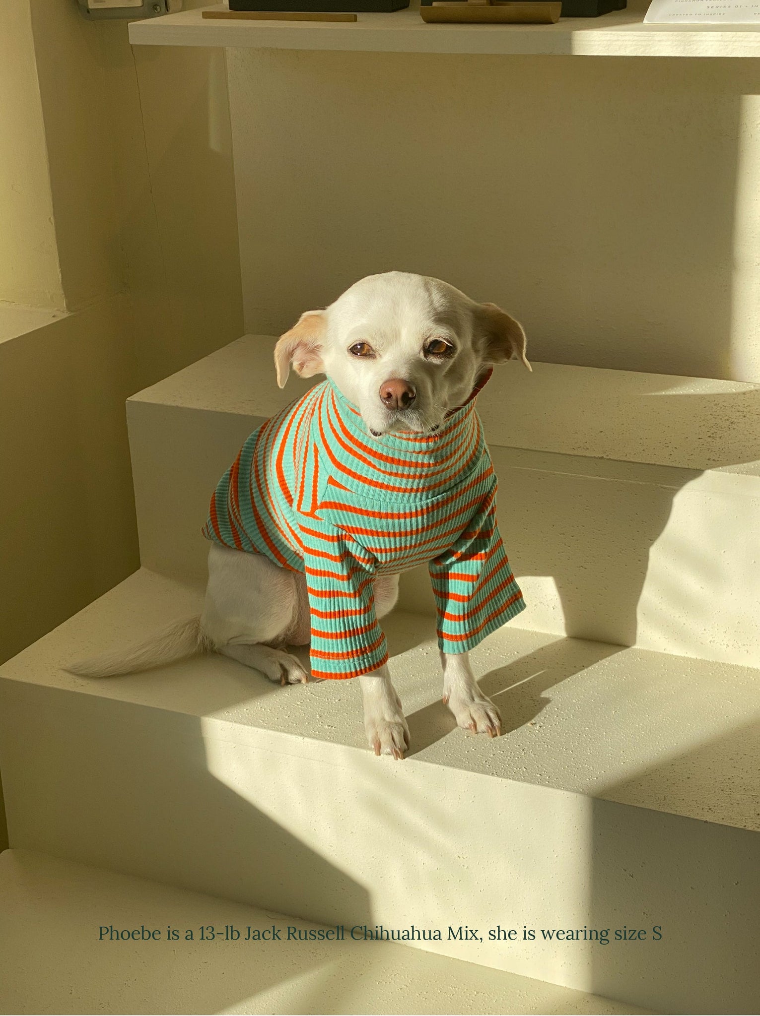 Little Beast Dog Sweatshirt Life's a Beach Sweatshirt