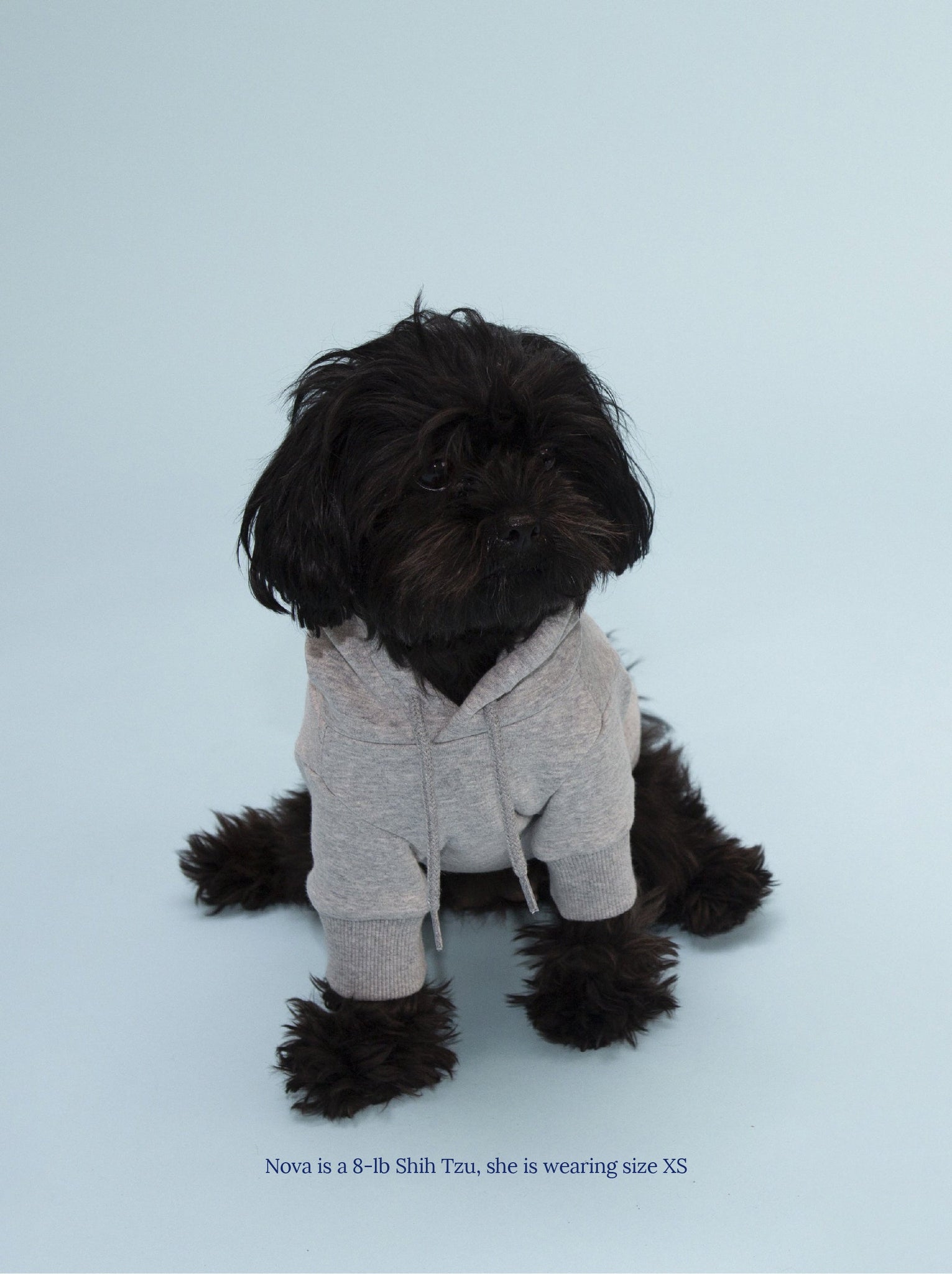 Little Beast Dog Hoodie Little Beast Hoodie - Gray