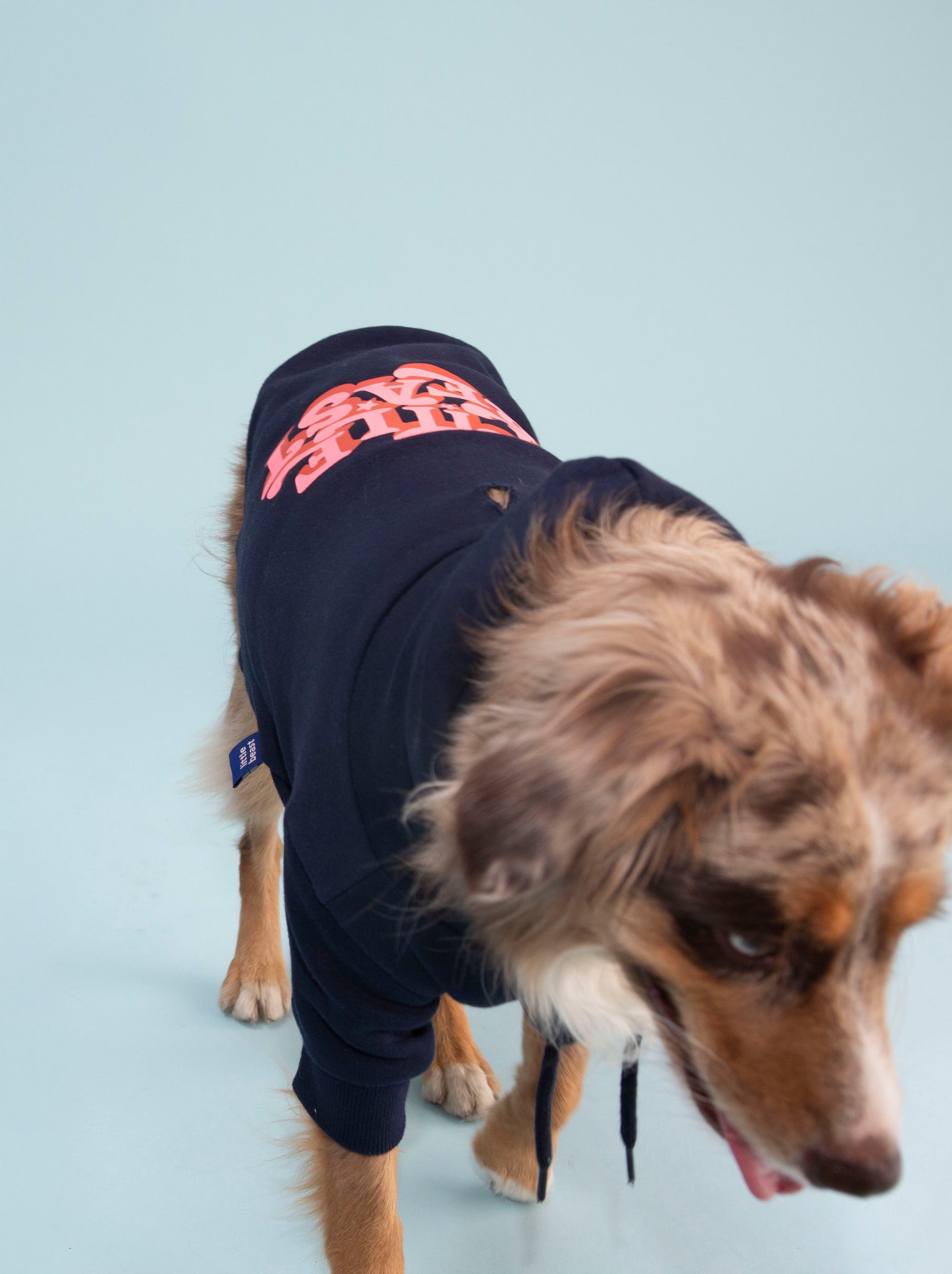 Little Beast Dog Hoodie Little Beast Hoodie - Navy