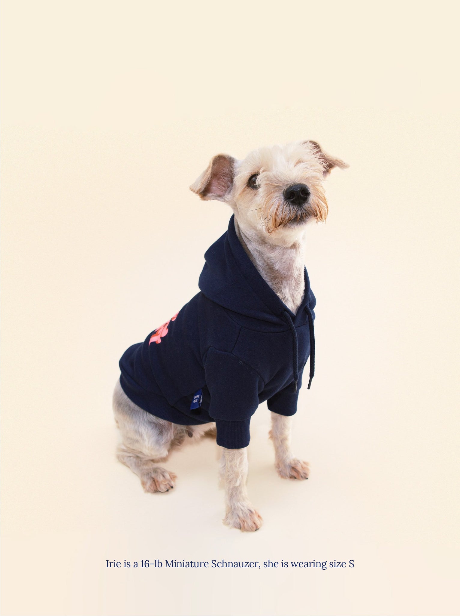 Little Beast Dog Hoodie Little Beast Hoodie - Navy