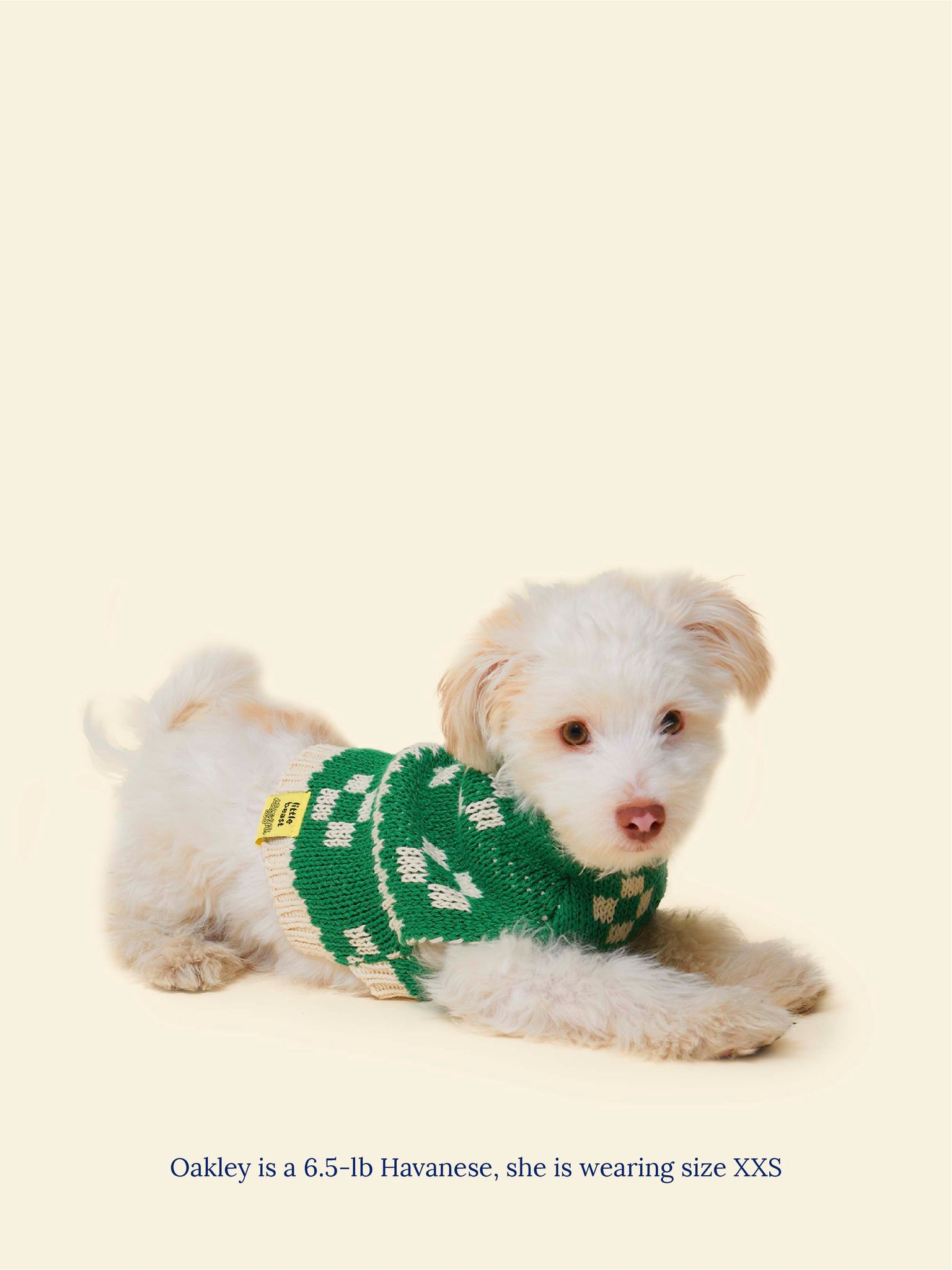 Little Beast Dog Sweater Lucky Floral x Memorial Day Sweater