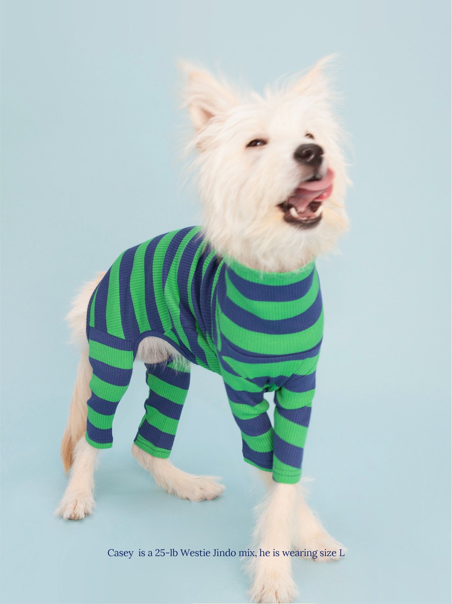 Little Beast Dog Onesie Martian Onesie