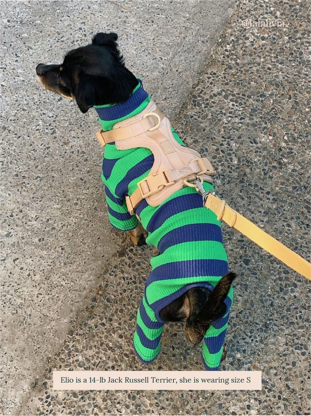 Little Beast Dog Onesie Martian Onesie