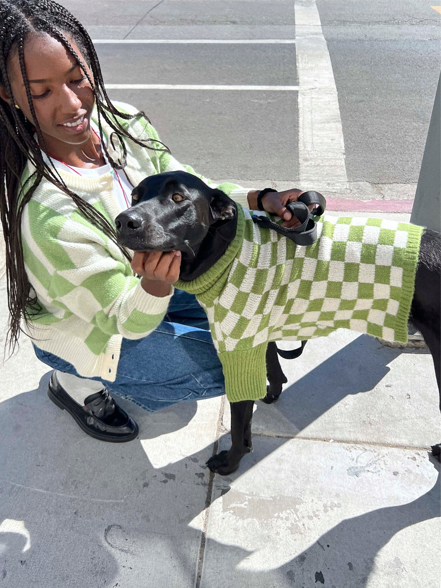 Little Beast Dog Sweater Meet the Parents X Lisa Says Gah ✿