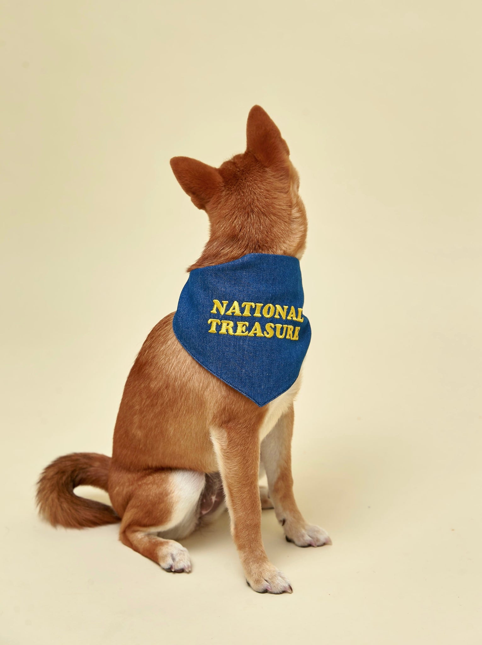 Little Beast Dog Bandana National Treasure Bandana