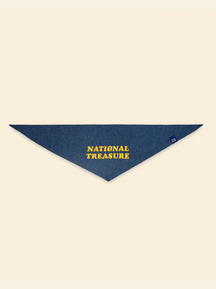 Little Beast Dog Bandana National Treasure Bandana