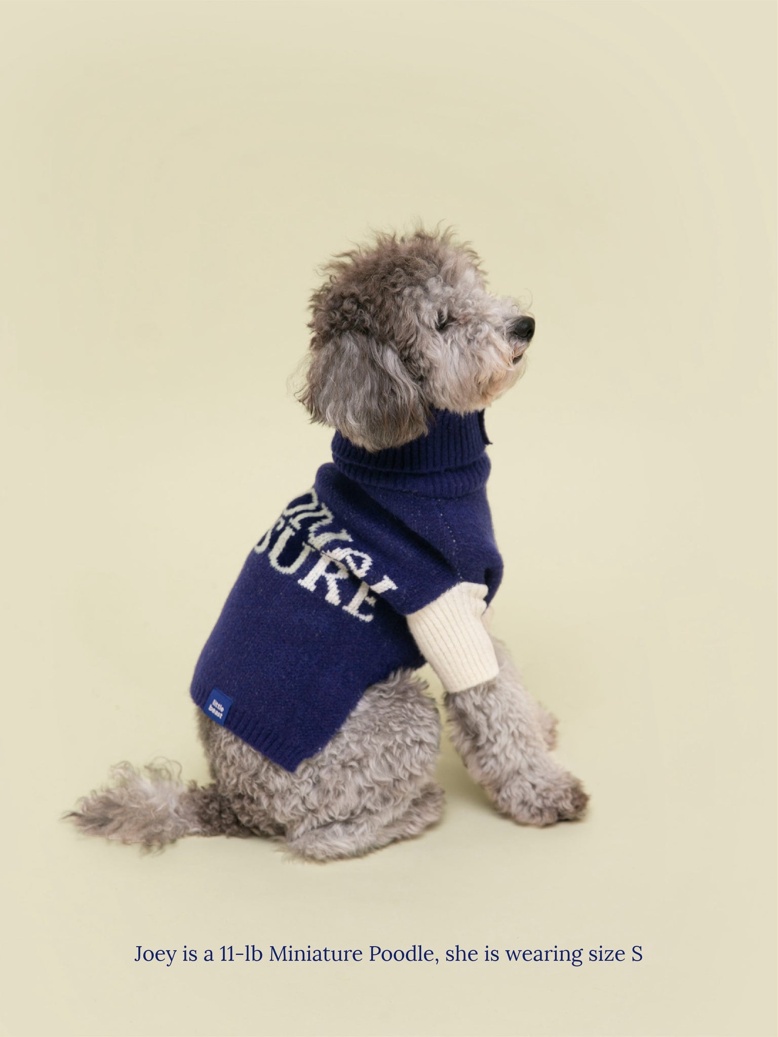 Little Beast Dog Sweater National Treasure Sweater