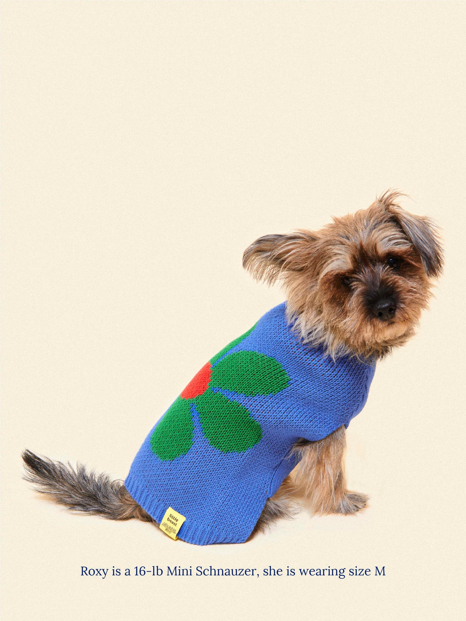 Little Beast Dog Sweater Painkiller Daisy ✿ x Memorial Day Sweater