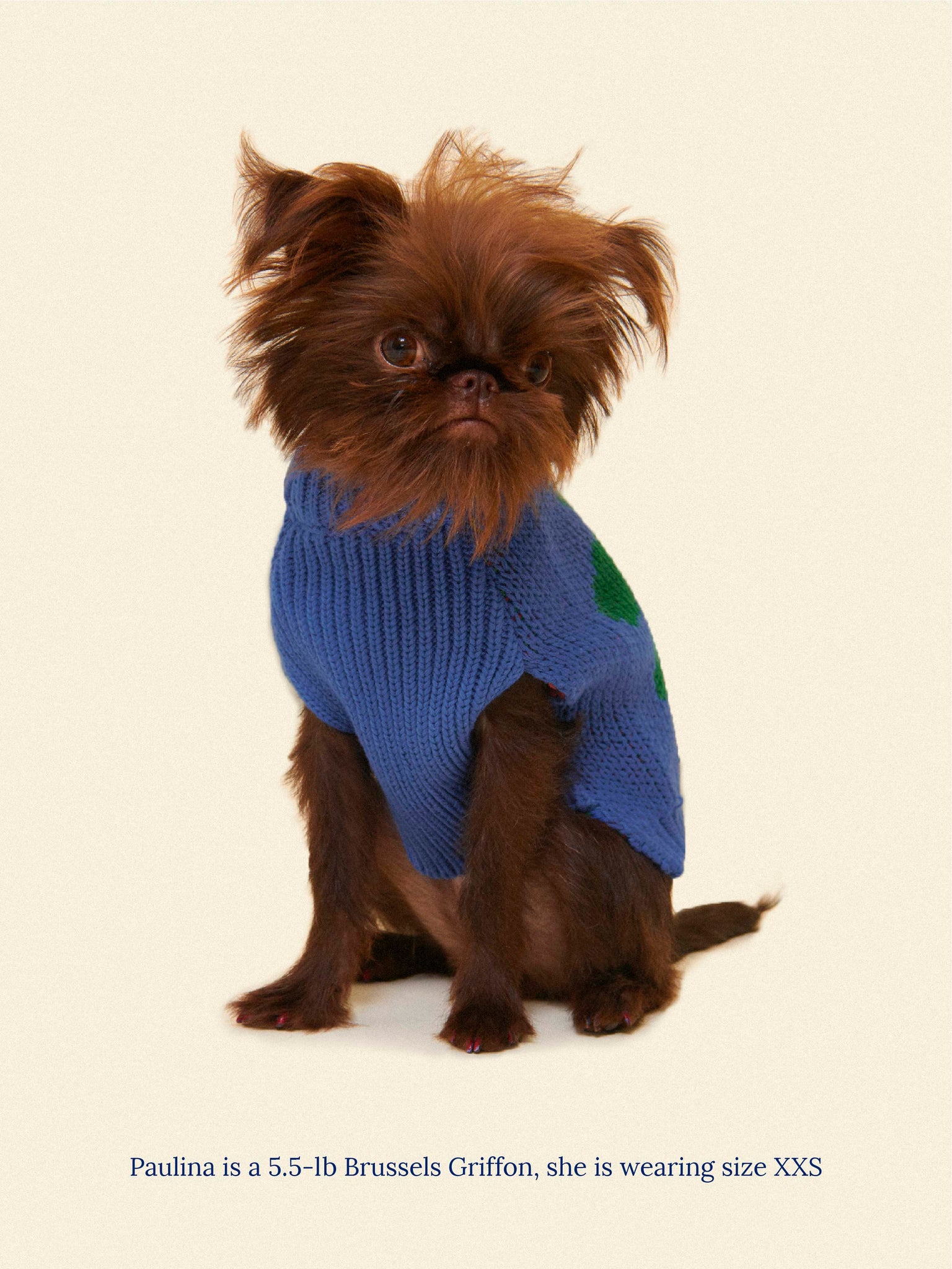 Little Beast Dog Sweater Painkiller Daisy ✿ x Memorial Day Sweater