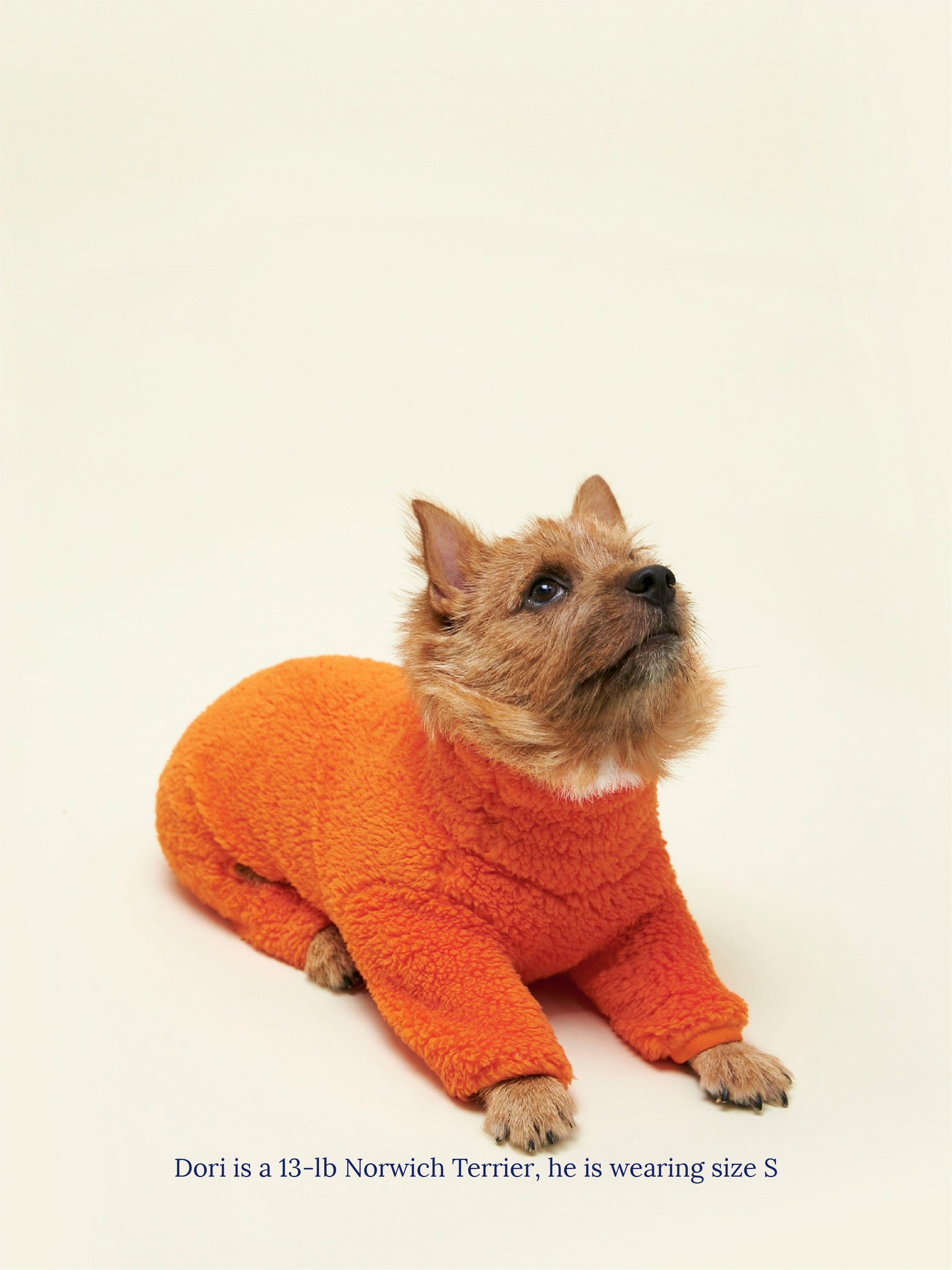 Little Beast Dog Onesie Rhymes With Orange Fleece Onesie