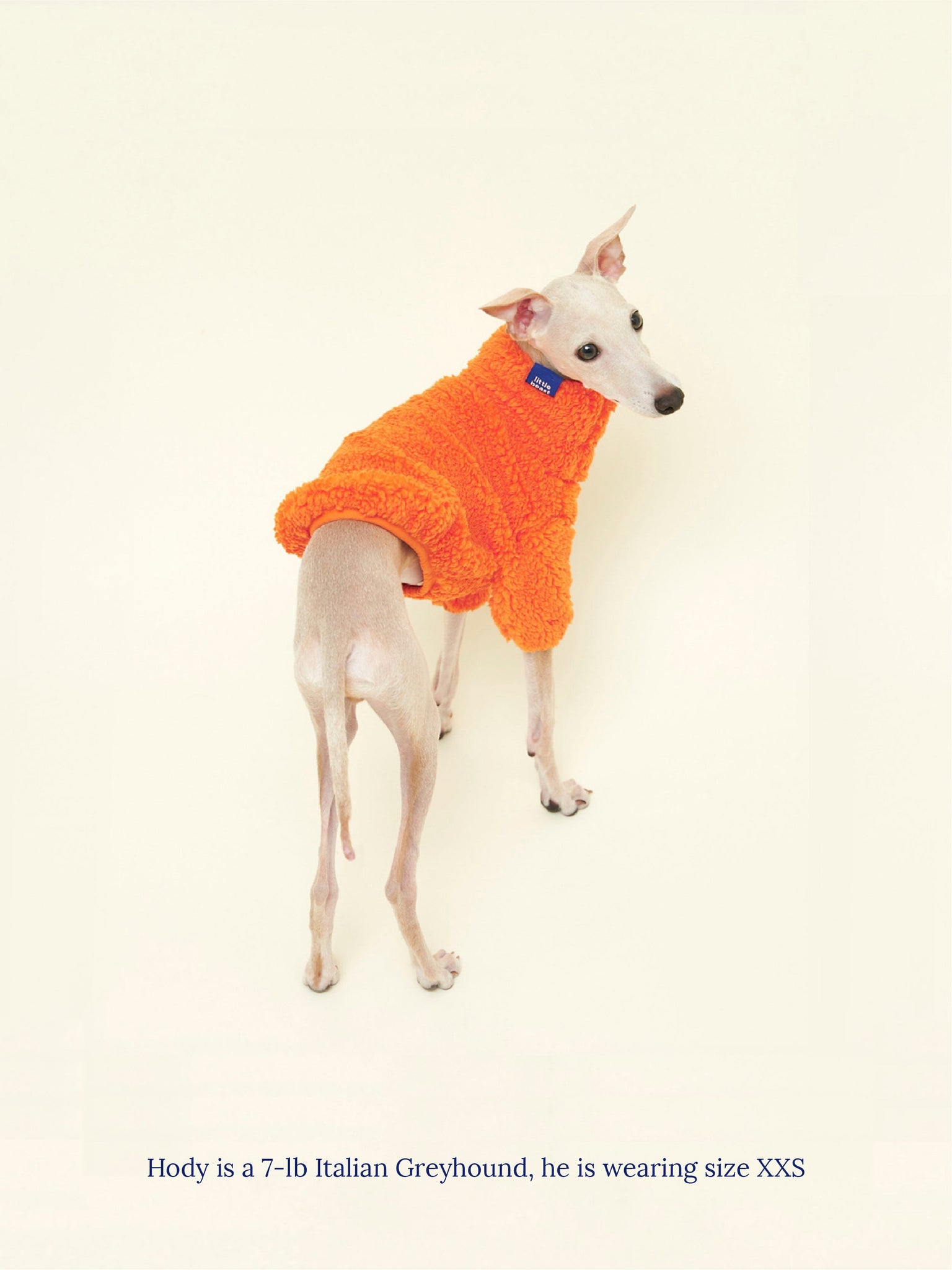 Little Beast Dog Sweatshirt Rhymes With Orange Fleece Sweatshirt