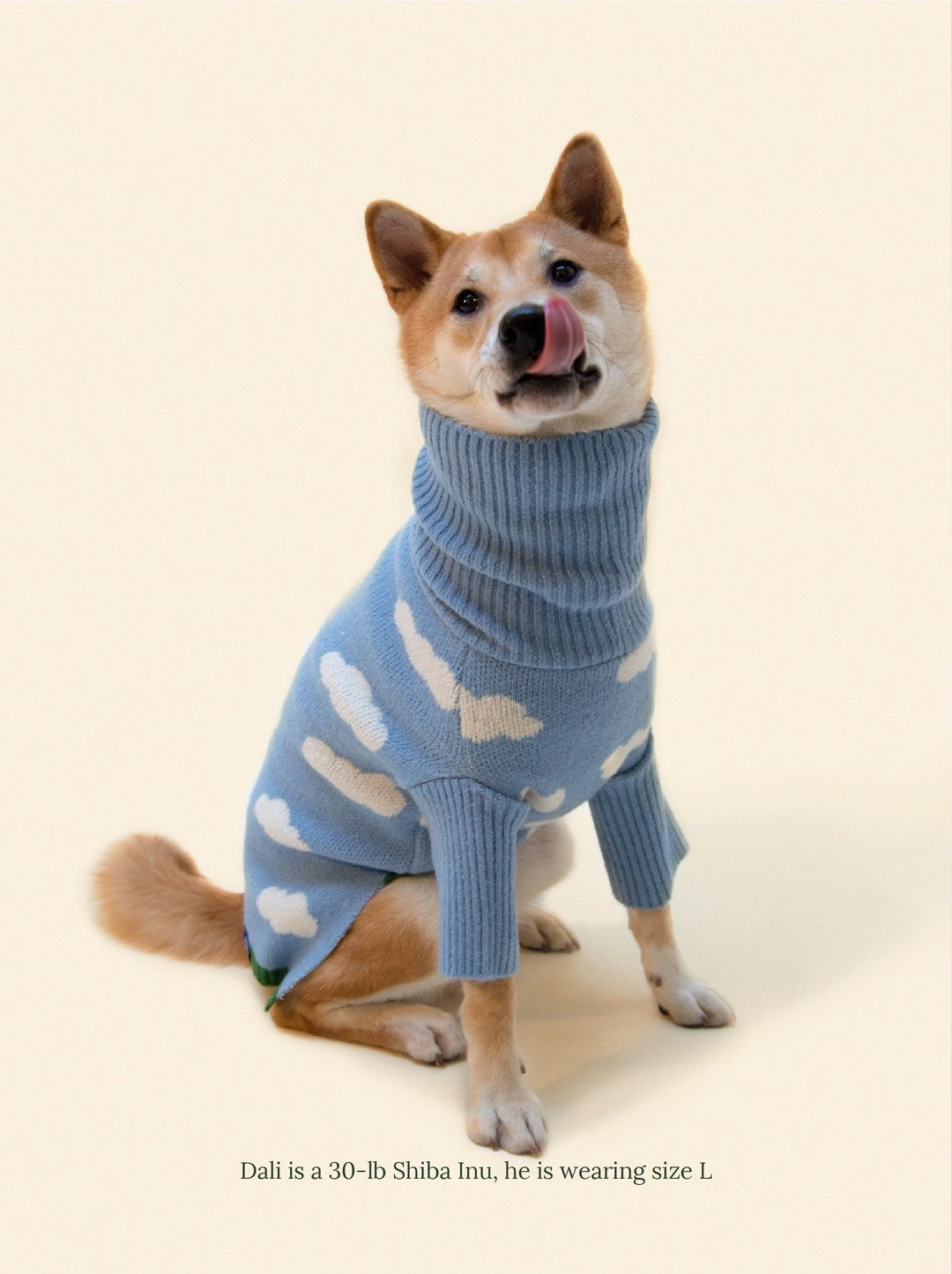 Little Beast Dog Sweater Silver Linings Sweater