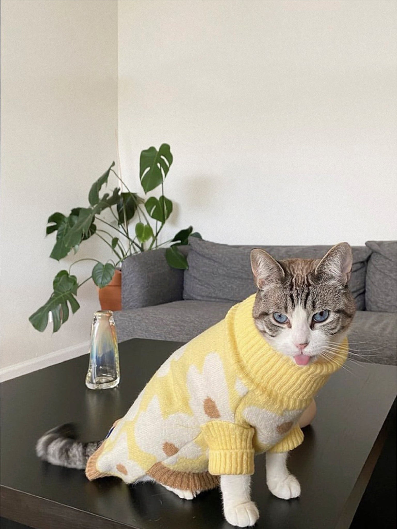 Little Beast Dog Sweater Sunny Side Sweater