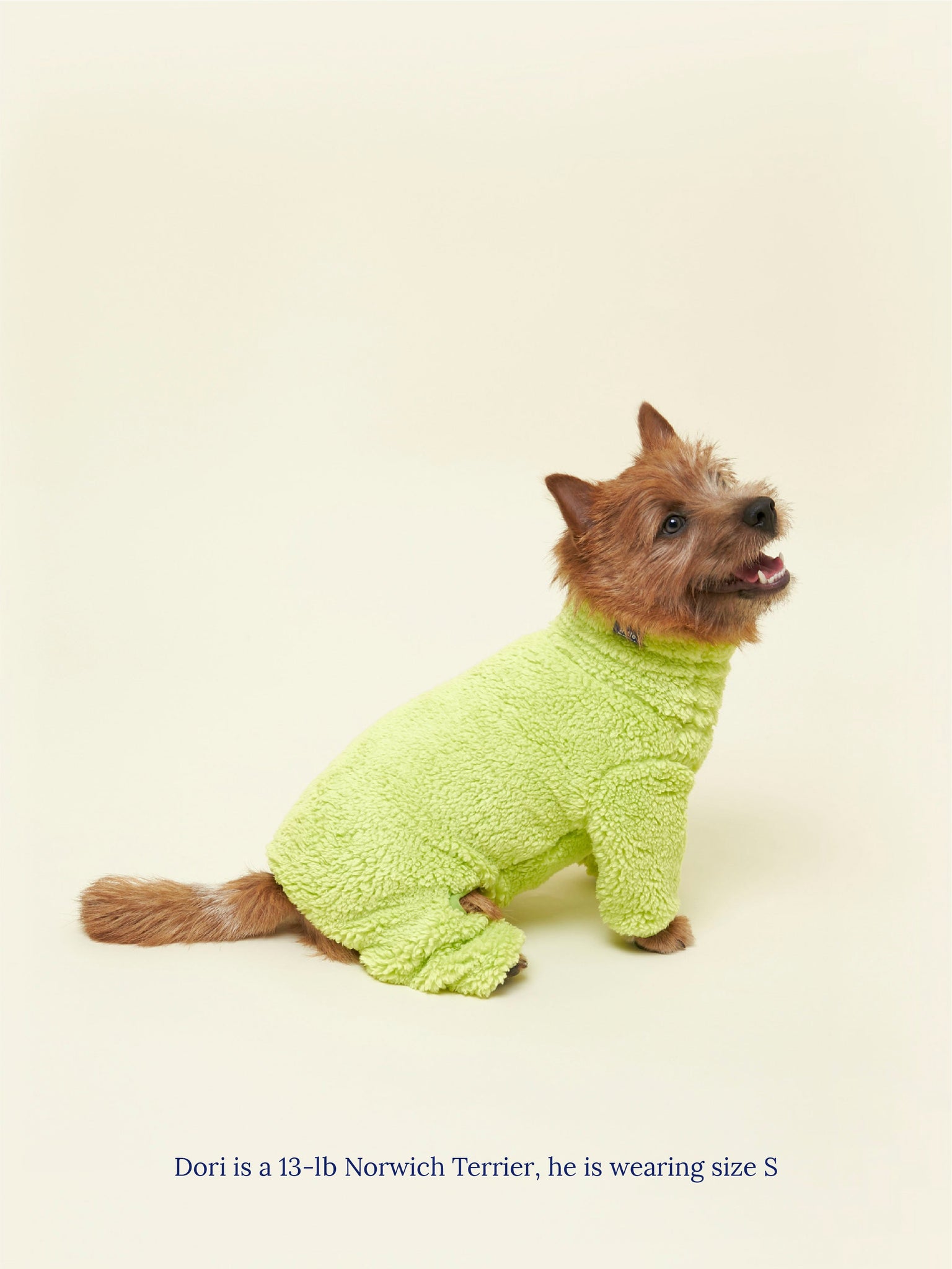 Little Beast Dog Onesie The Highlighter Fleece Onesie