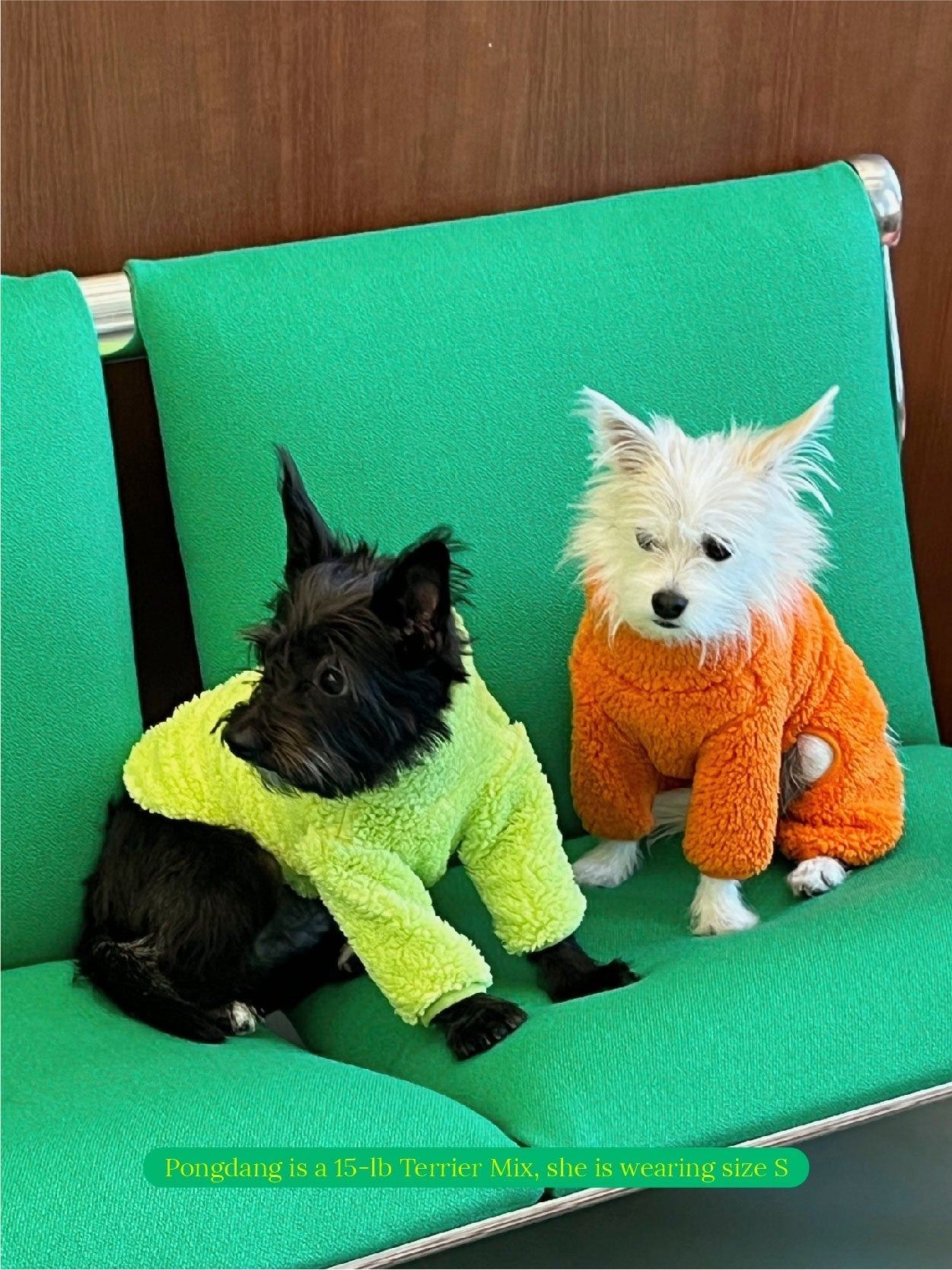 Little Beast Dog Sweatshirt The Highlighter Fleece Sweatshirt