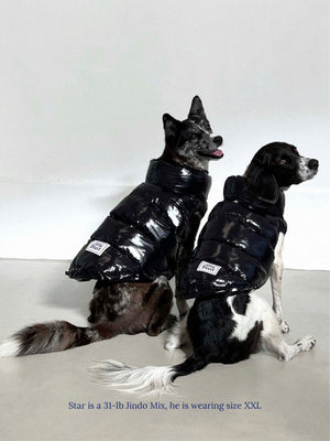 Black dog hot sale puffer jacket