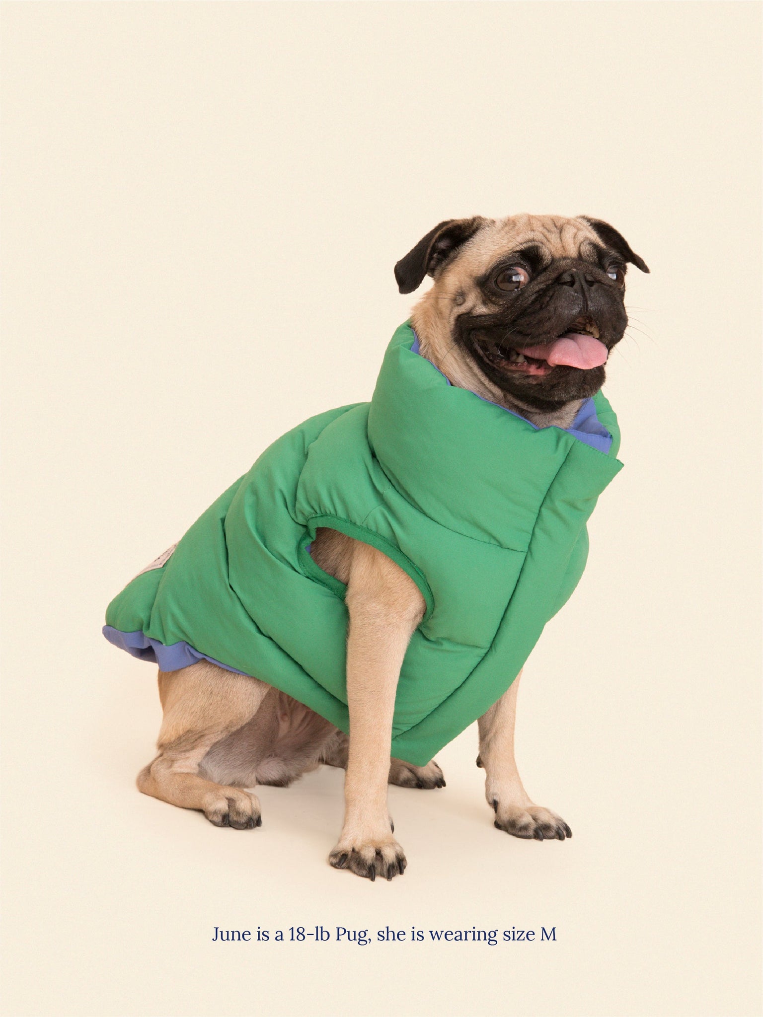 Little Beast Dog Parka The Super Duper Reversible Parka Vest - Green & Blue