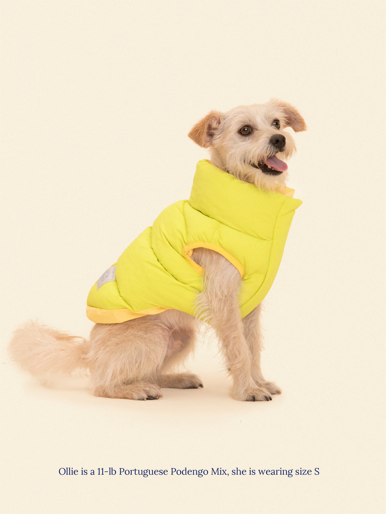 Little Beast Dog Parka The Super Duper Reversible Parka Vest - Lime & Cream