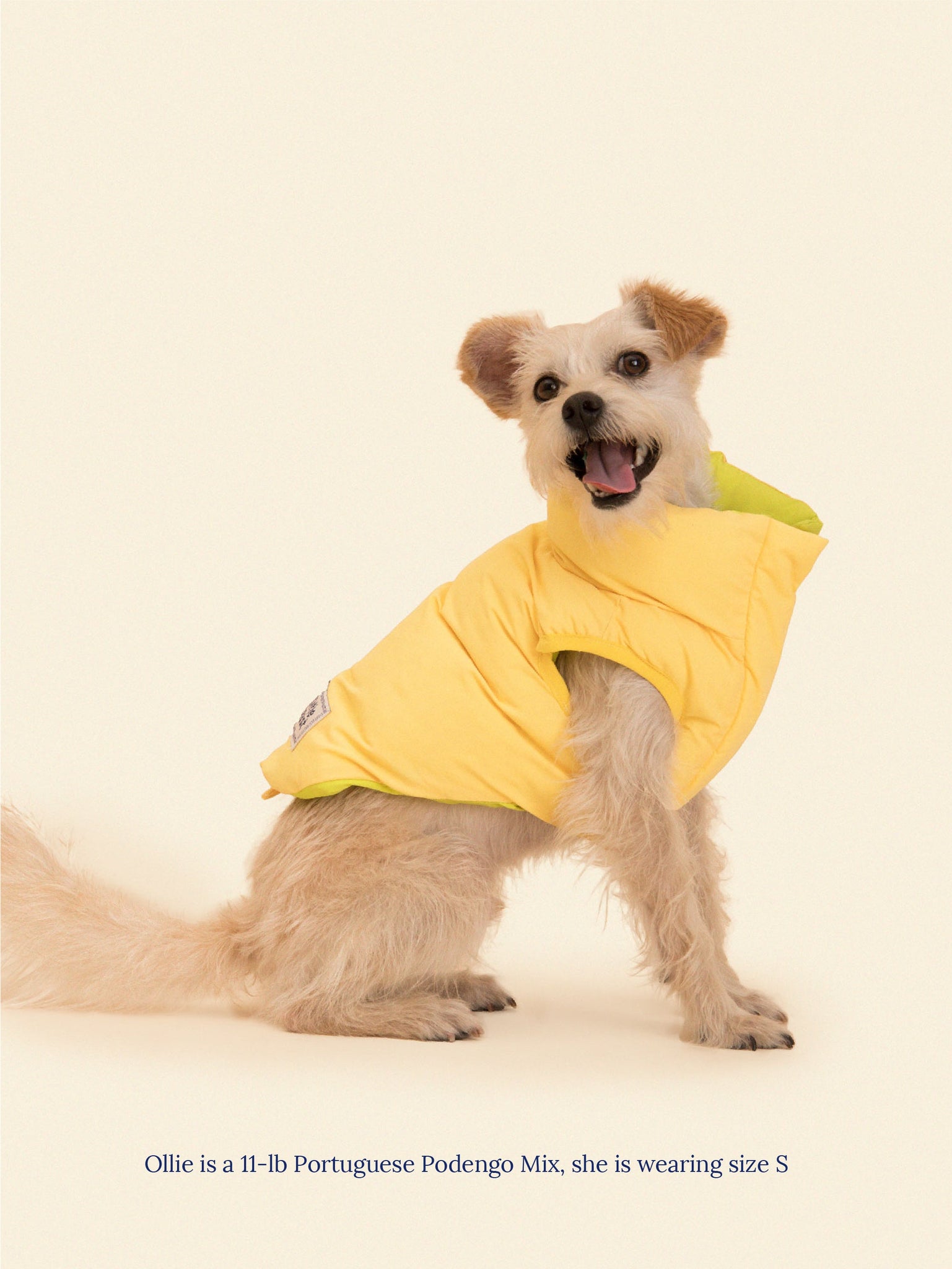 Little Beast Dog Parka The Super Duper Reversible Parka Vest - Lime & Cream