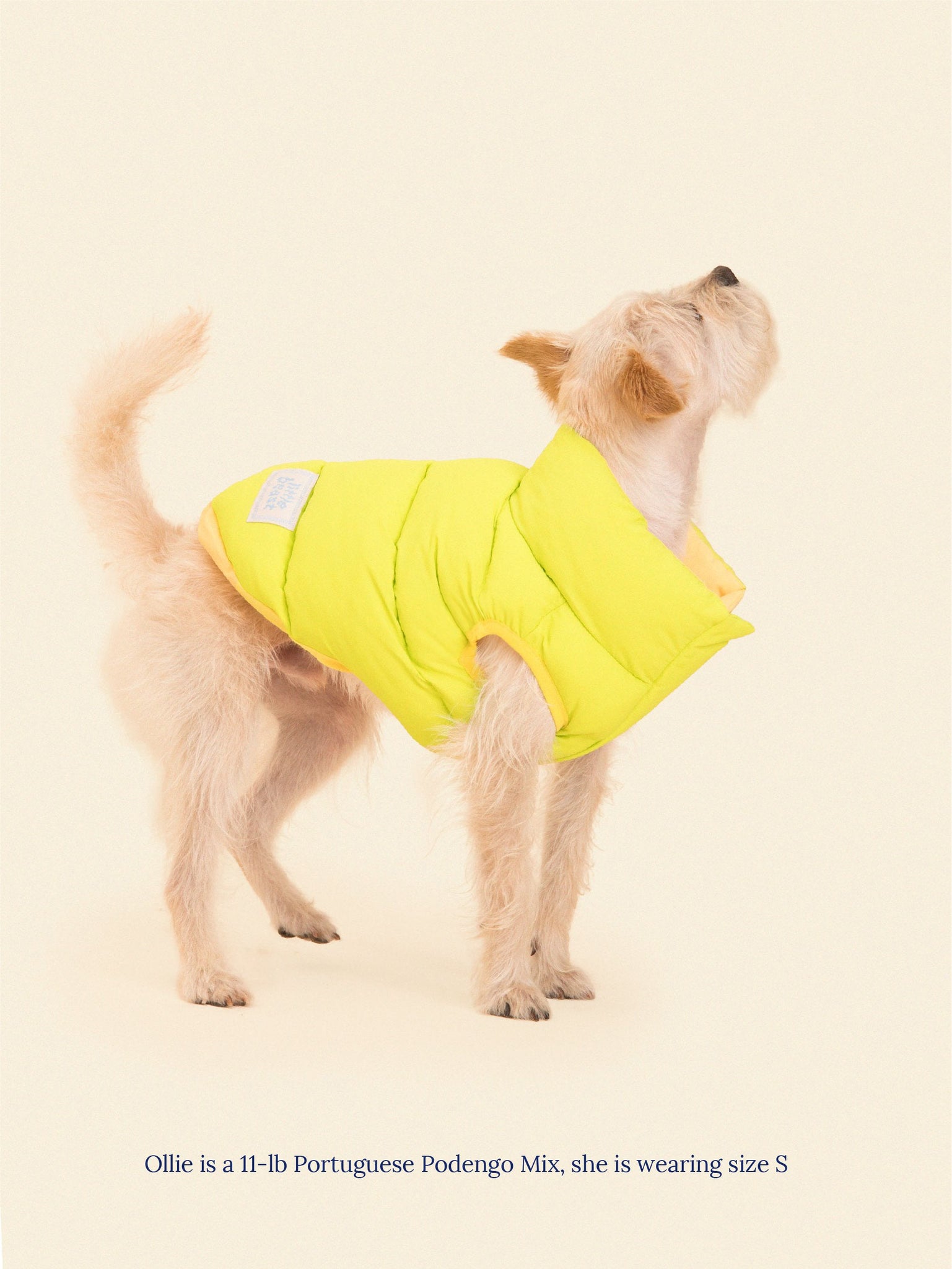 Little Beast Dog Parka The Super Duper Reversible Parka Vest - Lime & Cream