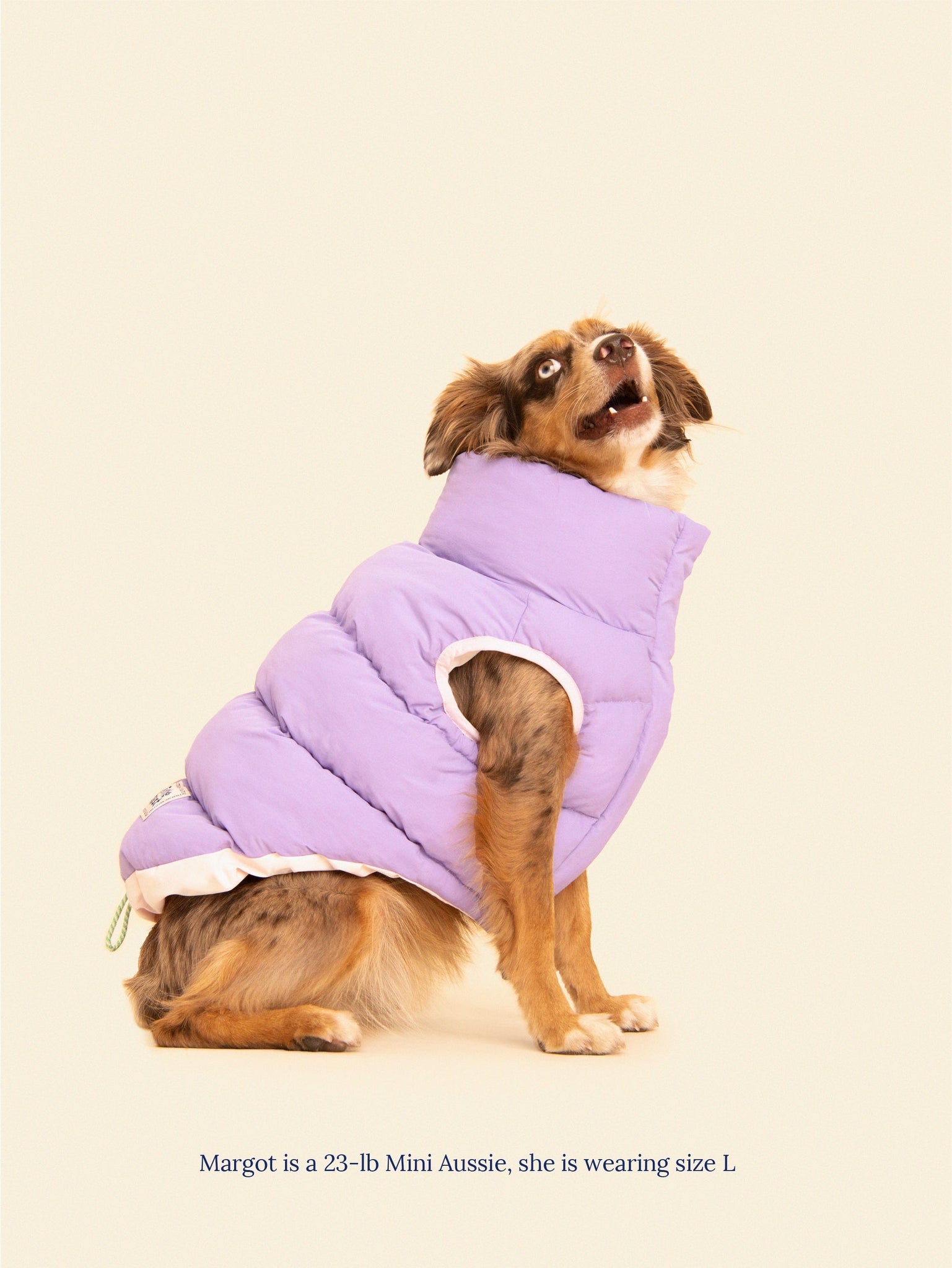 Little Beast Dog Parka The Super Duper Reversible Parka Vest - Purple & Pink