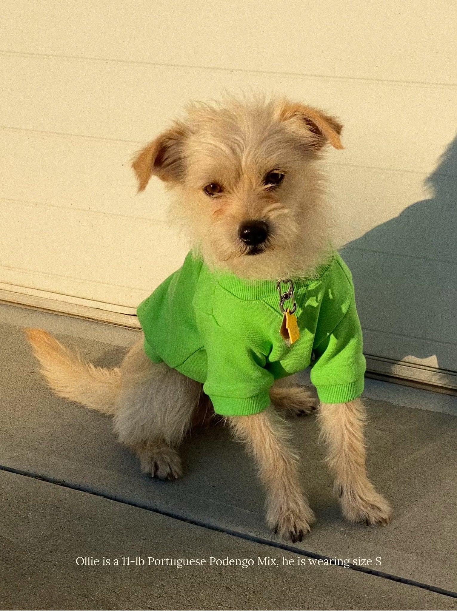 The Lucky Green Sweatshirt