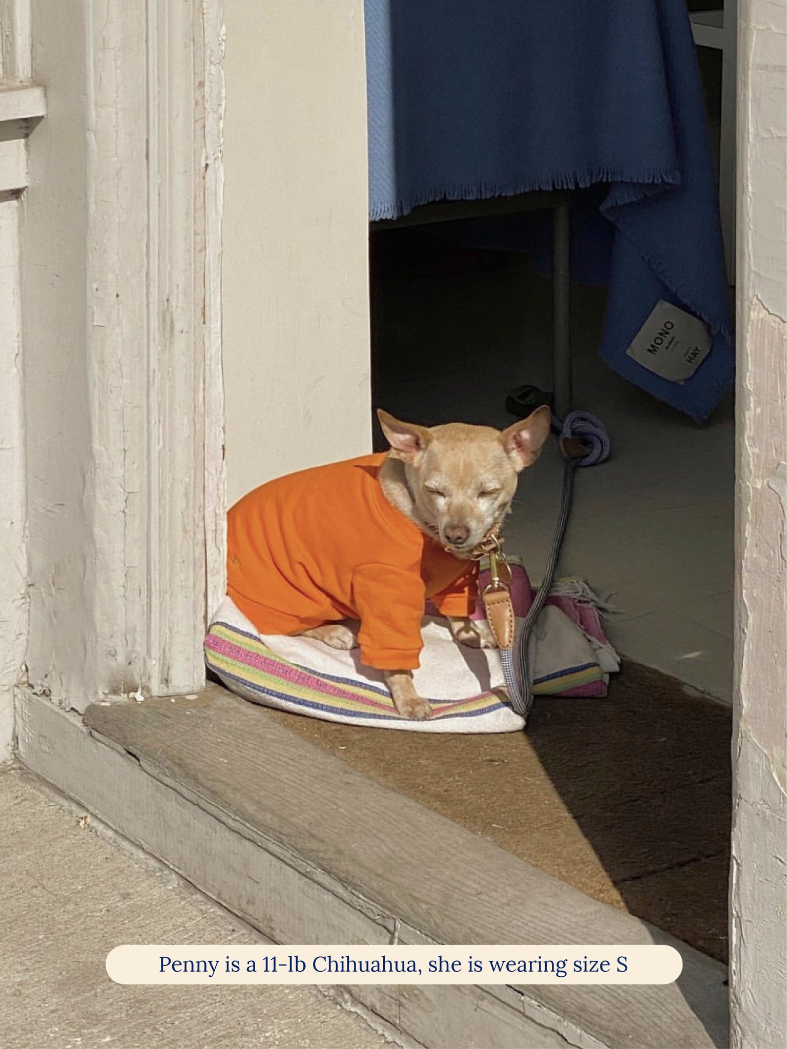 The Lucky Orange Sweatshirt