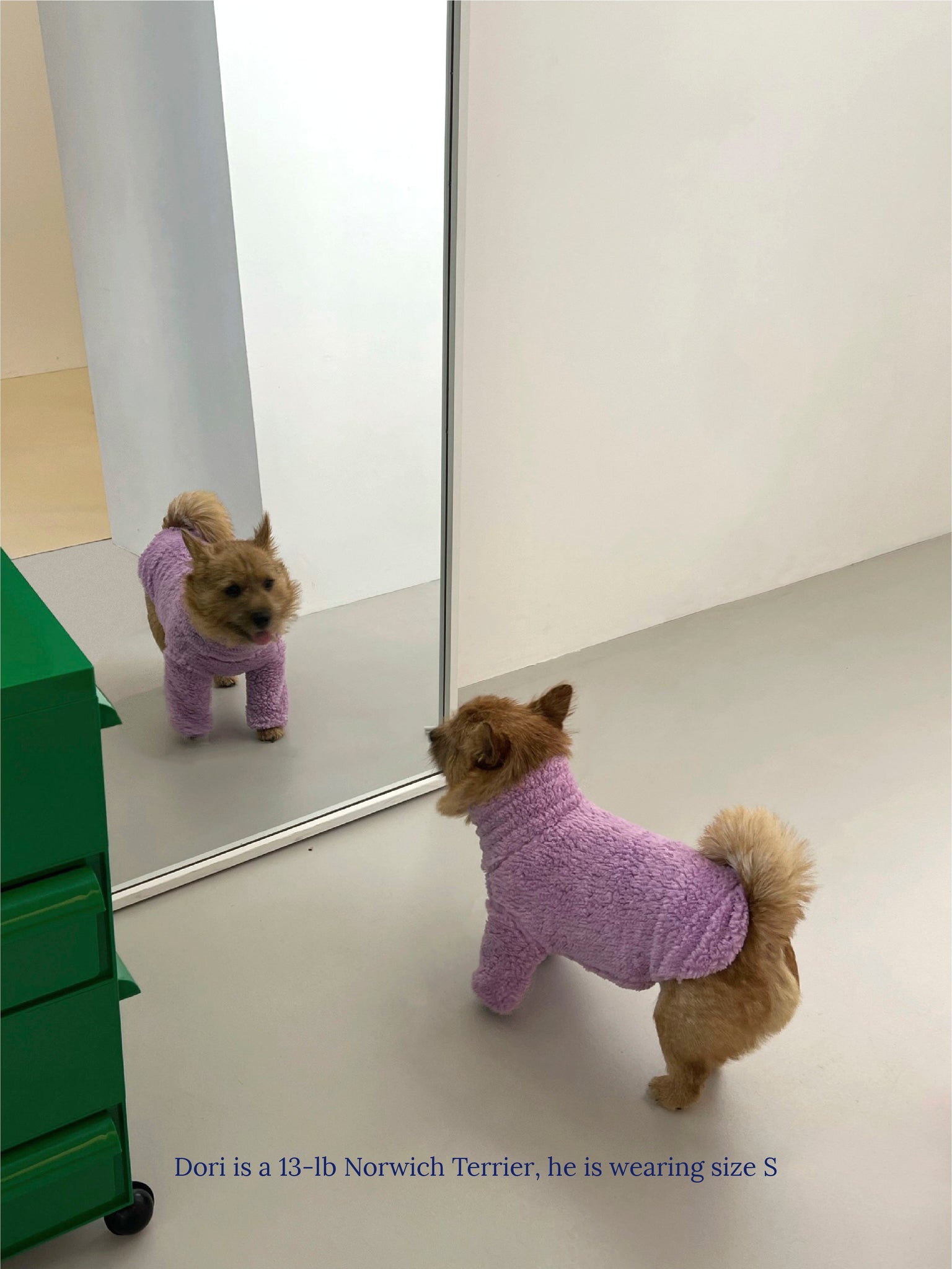 Purple Disco Fleece Sweatshirt